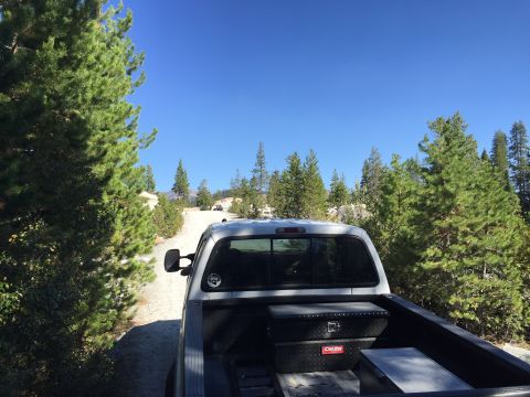 1989 Ford Bronco - A silver pickup truck is parked on a dirt road surrounded by pine trees under a clear blue sky.