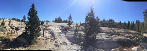 1989 Ford Bronco - Vehicles parked on a rocky plateau surrounded by pine trees on a sunny day.