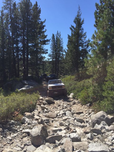 1989 Ford Bronco - A white 1989 Ford Bronco navigates a challenging, rocky trail surrounded by trees and clear blue skies.