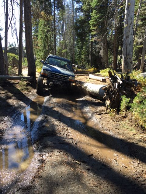 1989 Ford Bronco - A blue 1989 Ford Bronco tackles a challenging muddy trail, with a large fallen tree blocking its path.