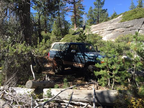 1989 Ford Bronco - A Ford Bronco navigates a wooded, rocky trail under a clear blue sky.