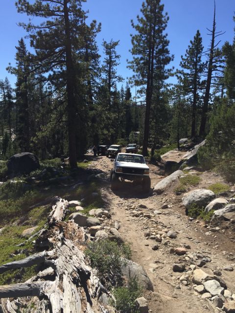 1989 Ford Bronco - A convoy of SUVs, led by a white 1989 Ford Bronco, navigates a challenging rocky trail through a forest.