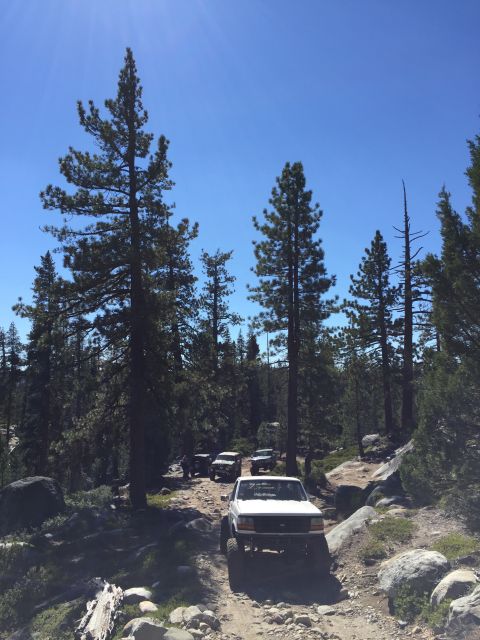 1989 Ford Bronco - Multiple off-road vehicles navigate a challenging dirt trail through a forest on a sunny day.