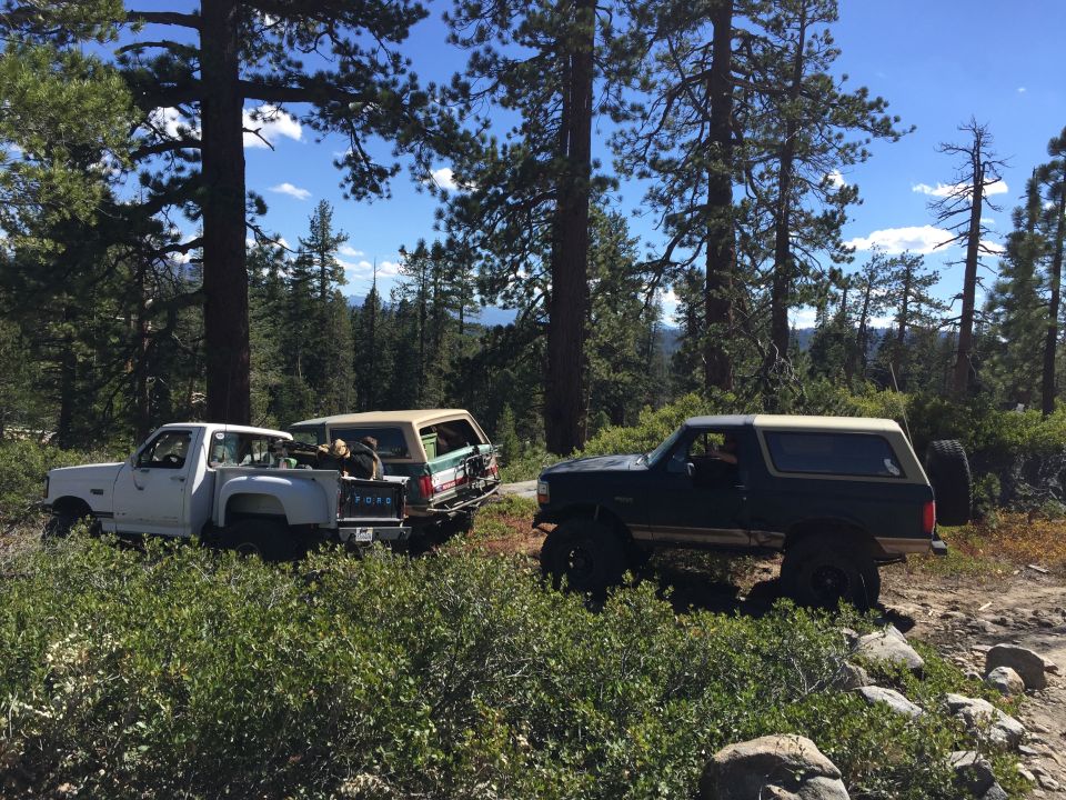 Dark green 1989 Ford Bronco with tan top on rocky trail