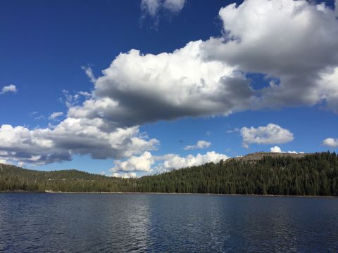 1989 Ford Bronco - A wide view of a calm lake surrounded by dense pine forests on a clear day.