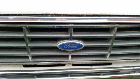 1981 Ford Bronco - Close-up of the front grille of a vehicle, featuring the blue oval Ford emblem. The grille has horizontal slats and chrome trim.