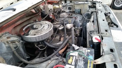 1981 Ford Bronco - The engine bay of a classic Ford Bronco is shown, featuring a V8 engine, chrome air cleaner, and a battery. The vehicle's red inner fender…