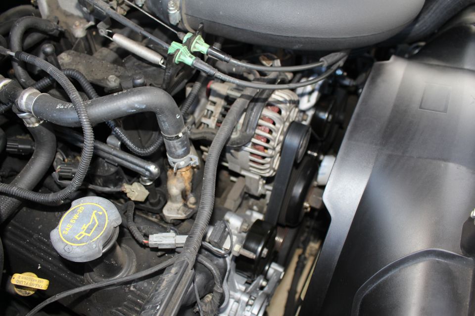 Close-up of a Ford V8 engine bay, showing hoses, alternator, and belts