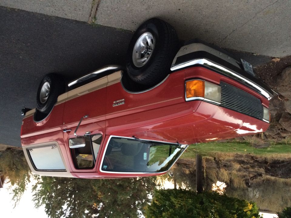 1991 Ford Bronco “Larry”