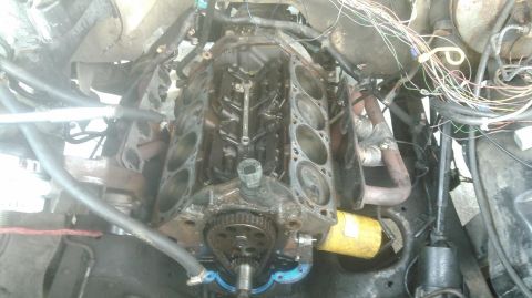 1990 Ford F-250 - pulled the heads and timing cover. the GT40P heads that came with the engine are good heads but the valvesprings are known issues. also the…