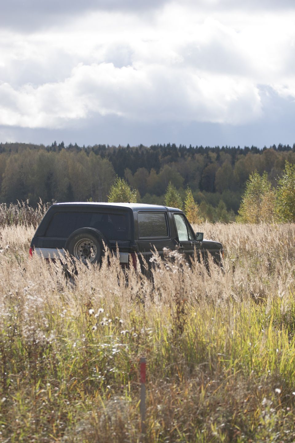 1987 Ford Bronco parked in tall dry grass with trees and cloudy sky in background