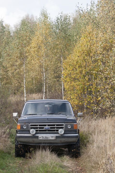 1987 Ford Bronco - A dark blue 1980s Ford Bronco is parked in a field with tall grass and autumn foliage in the background.