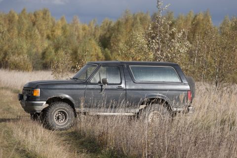 1987 Ford Bronco - This 1987 Ford Bronco is captured in a side profile, partially obscured by tall, dry grass.