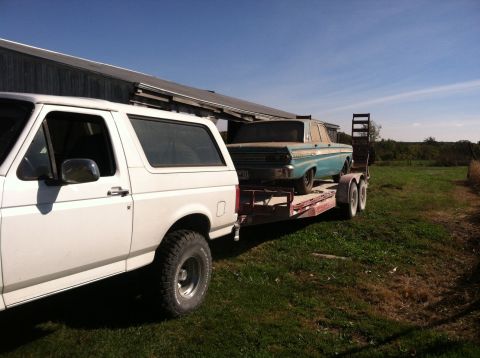 1996 Ford Bronco - White Ford Bronco towing a blue classic car on a trailer.