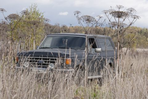 1987 Ford Bronco - 1987 Ford Bronco partially obscured by tall, dry vegetation in an open field.