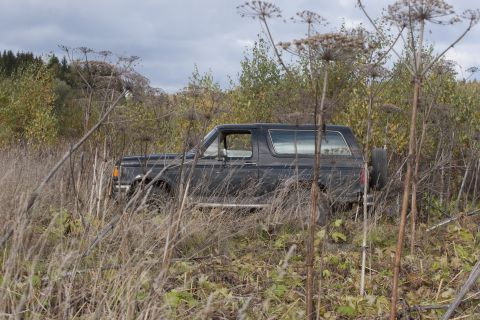1987 Ford Bronco - A dark-colored Ford Bronco is partially obscured by tall, dry vegetation under an overcast sky.