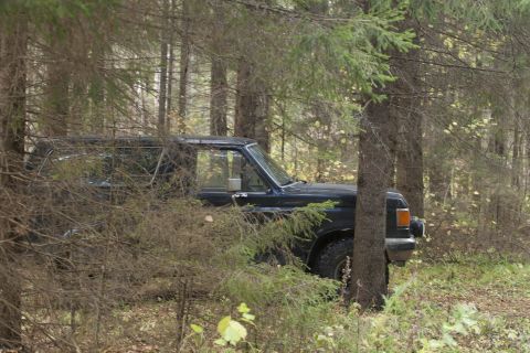 1987 Ford Bronco - 1987 Ford Bronco sits off-road among trees in a wooded area.