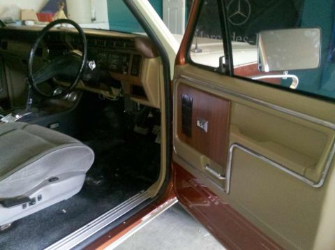 1982 Ford Bronco - Interior view of a truck, showing the driver's seat, dashboard, and door panel with wood grain trim.