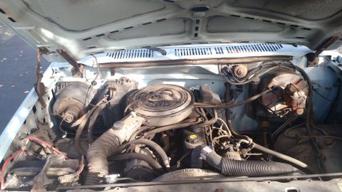 1986 Ford Bronco photo