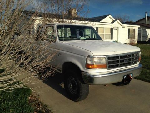 1995 Ford F-250 photo