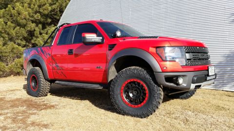 2010 Ford F-150 photo