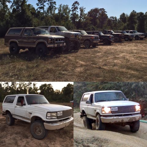 1996 Ford Bronco - A lineup of lifted Ford Broncos and trucks are parked on a dirt lot with trees in the background. The bottom half of the image shows two wh…