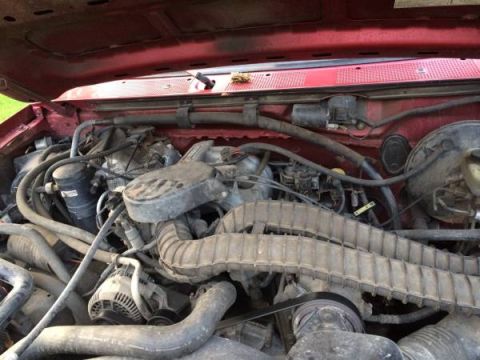1994 Ford Bronco - The engine bay of a 1994 Ford Bronco is visible with the hood open.