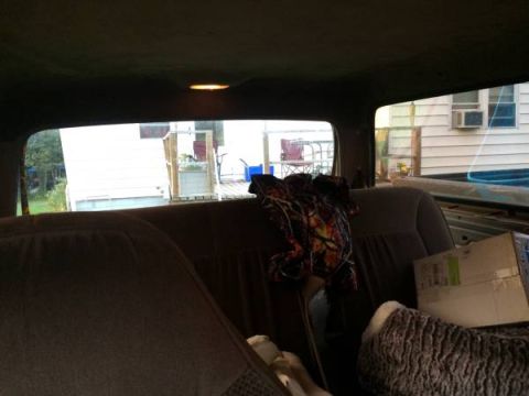 1994 Ford Bronco - View from the back seat of a vehicle, looking out the rear window at a residential area.