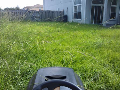 2006 Honda RANCHER - View from the driver's seat of a lawn mower, ready to tackle overgrown grass in a residential backyard.