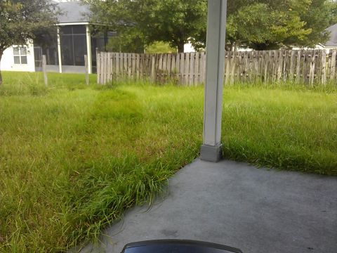 2006 Honda RANCHER - A backyard scene with tall grass and a wooden fence is visible.