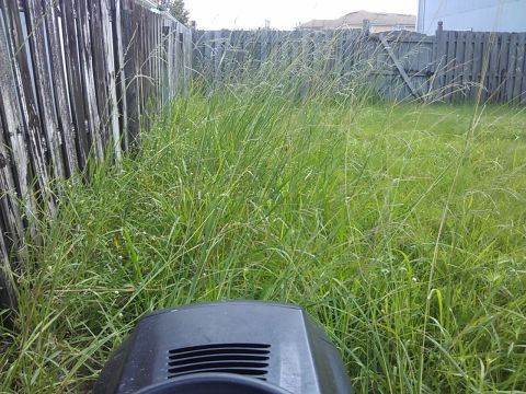 2006 Honda RANCHER - A black lawnmower is partially visible in the foreground, surrounded by overgrown grass and a weathered wooden fence.