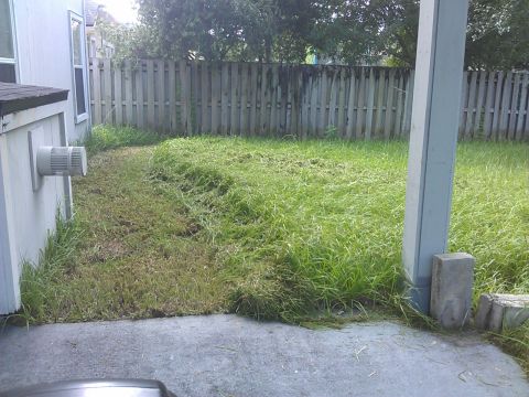 2006 Honda RANCHER - Yard work in progress with cut grass piled up against a wooden fence.