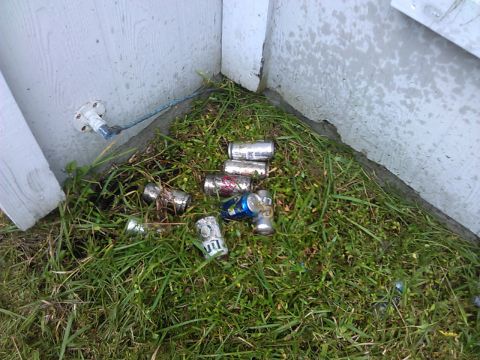 2006 Honda RANCHER - Discarded aluminum cans litter the overgrown grass in a corner next to a building.