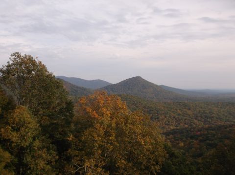 1979 Ford Ranchero - A scenic view of rolling hills covered in trees displaying fall foliage.