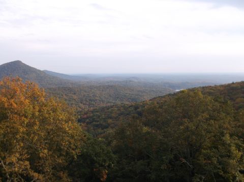 1979 Ford Ranchero - A vast expanse of rolling hills covered in trees displays vibrant autumn colors under a hazy sky.