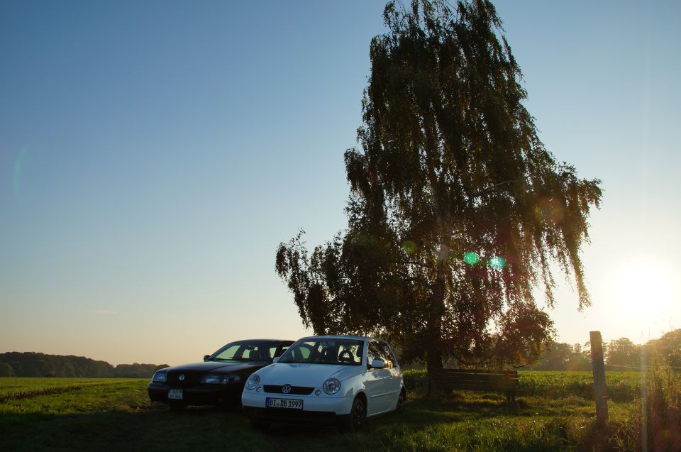 Black sedan and white Volkswagen Lupo parked on grass, with a large tree and sunset in background