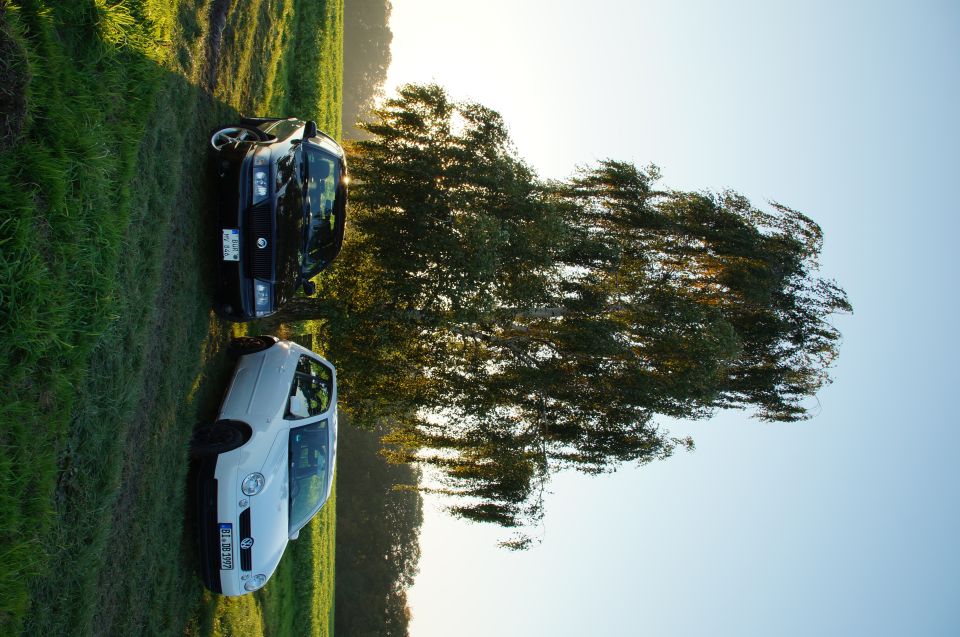 Black car and white car parked side-by-side in a grassy field with a tree