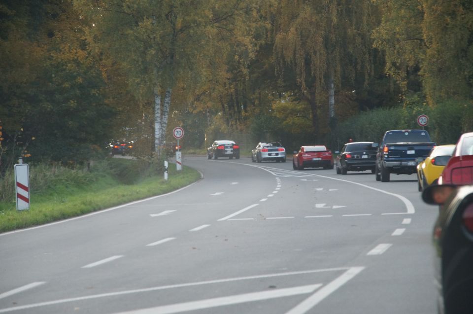 Cars on a road with trees and speed limit signs
