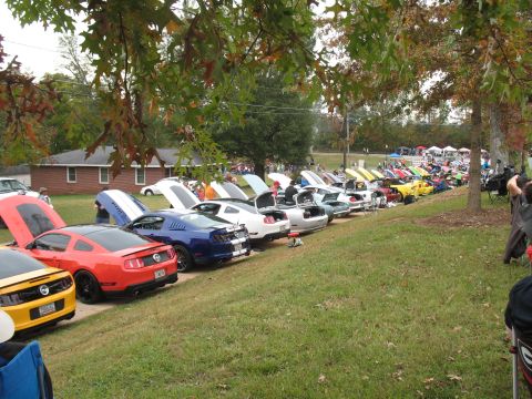 1972 Ford Ranchero - A gathering of Ford Mustangs, mostly modern models, are displayed with their hoods open at an outdoor event.