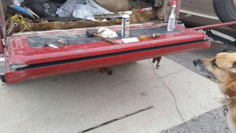 1981 Ford Bronco - A dog looks at a red tailgate with tools and a Supermotors logo visible on the concrete.