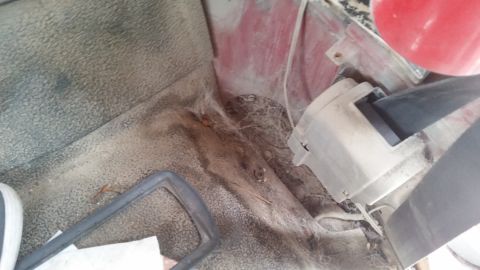 1981 Ford Bronco - Close-up view of the interior floor and seatbelt mechanism, showing accumulated debris.