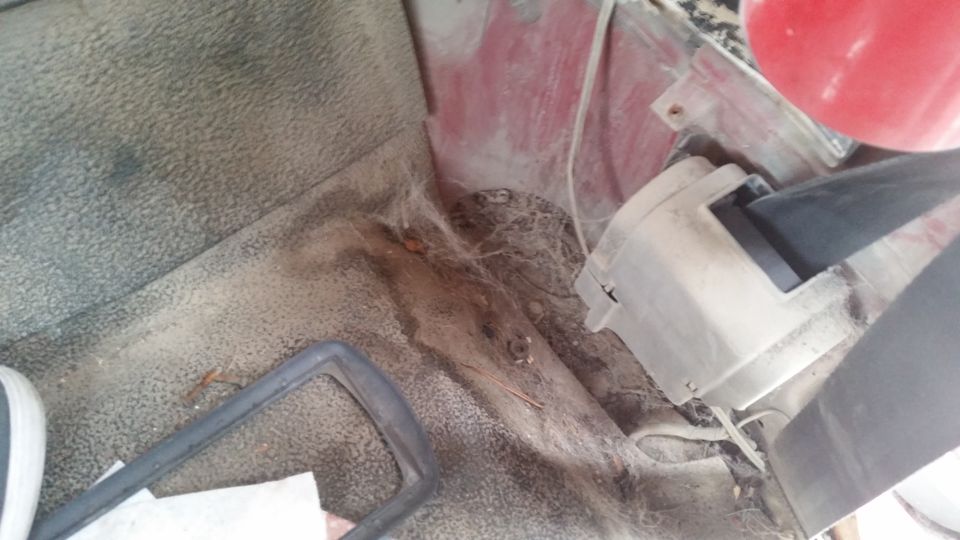 Interior floor with debris and seatbelt mechanism