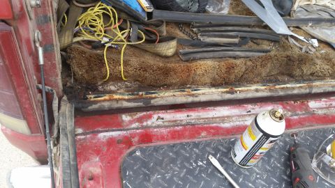 1981 Ford Bronco - The interior of a 1981 Ford Bronco's cargo area shows worn carpet and various parts for weatherstripping replacement.