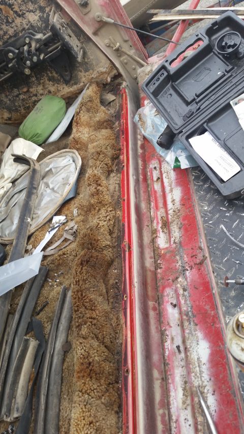 1981 Ford Bronco - The interior door sill of a red 1981 Ford Bronco shows signs of wear and removed weatherstripping.