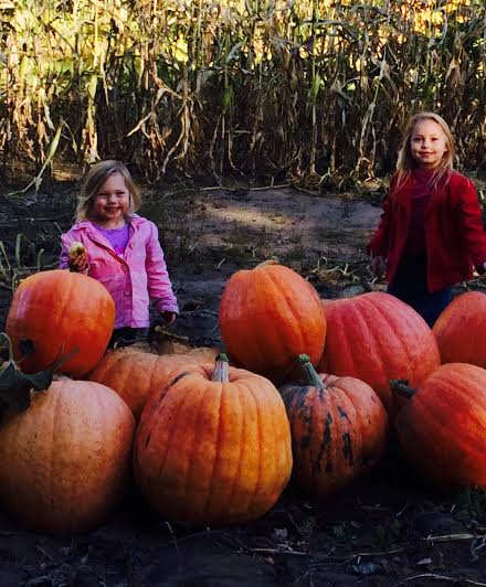 1978 Ford Bronco - Children enjoy a pumpkin patch outing with a harvest of pumpkins surrounding them.