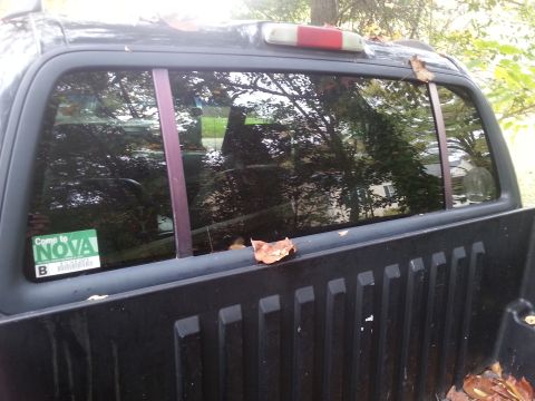 2001 Ford Explorer - Rear view of a black truck, showing the window with a sticker and reflections of the surrounding trees.