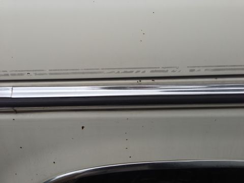 1979 Ford Bronco - Detail of car bodywork showing chrome trim and a subtle pinstripe design.