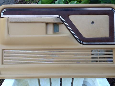 1979 Ford Bronco - Interior door panel from a vehicle, woodgrain trim and a speaker grille.