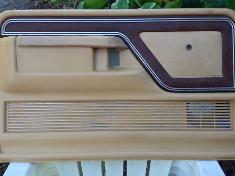 1979 Ford Bronco - Close-up of a vintage car's interior door panel, faux wood trim and a speaker grille.