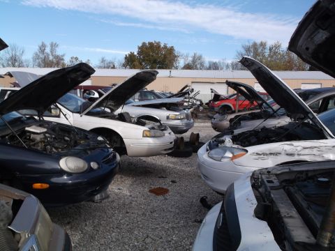 1999 Mercury Grand Marquis - A collection of cars with their hoods open sits in a junkyard under a blue sky with scattered clouds. Several sedans are visible, with a re…